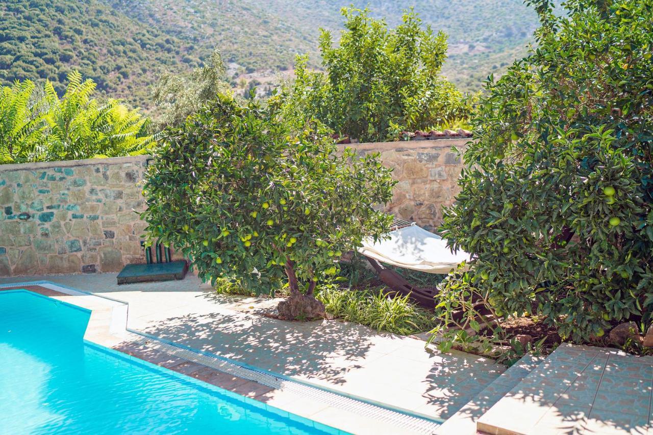 Bali  Villa Aleva מראה חיצוני תמונה